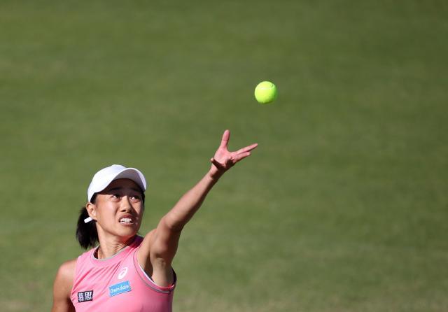 kaiyun-张帅两名之差错过温网种子 德约费德勒八强相遇？